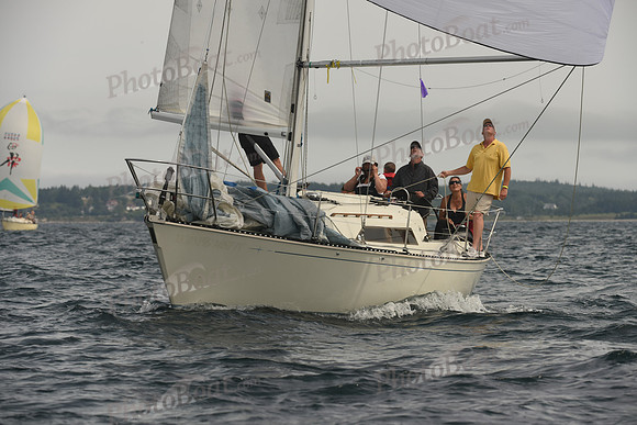 2016 Chester Race Week C_1670