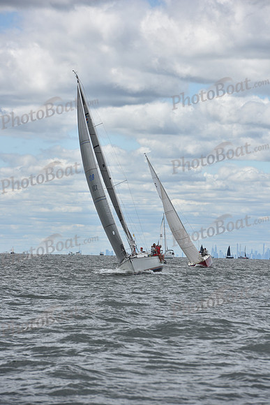 2021 Vineyard Race A 0300