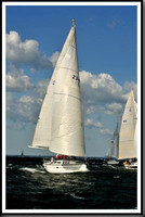 proof_2010_Vineyard_Race_0059