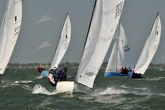 2012 Thistle Midwinters B 763