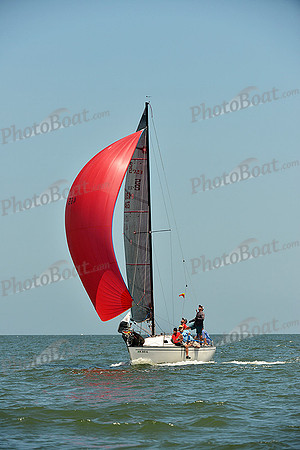 2015 Southern Bay Race Week C 1008