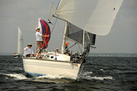 2013 Vineyard Race A 450