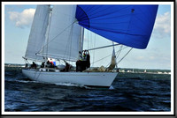 proof_2010_Vineyard_Race_0236