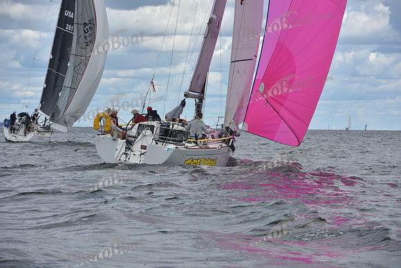 2021 Vineyard Race A 0942