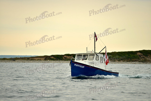 2016 Chester Race Week E_0211