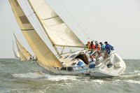 2015 Vineyard Race A 356