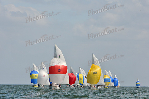 2012 Thistle Midwinters B 1379