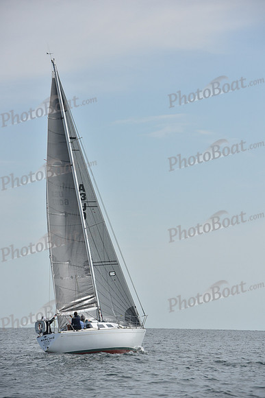 2019 Around Marthas Vineyard A_1297