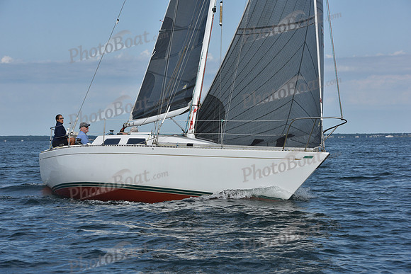 2019 Around Marthas Vineyard A_1284