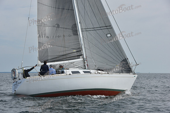 2019 Around Marthas Vineyard A_1288