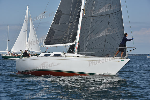 2019 Around Marthas Vineyard A_1137