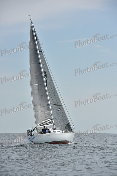 2019 Around Marthas Vineyard A_1298
