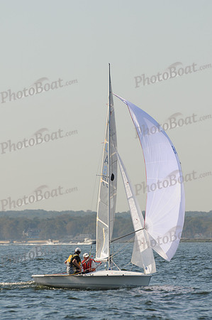 2011 HPDO A 1541