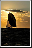 proof_2010_Vineyard_Race_2124