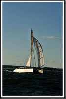 proof_2010_Vineyard_Race_1791