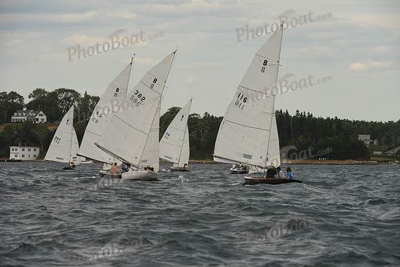 2016 Chester Race Week A_1862