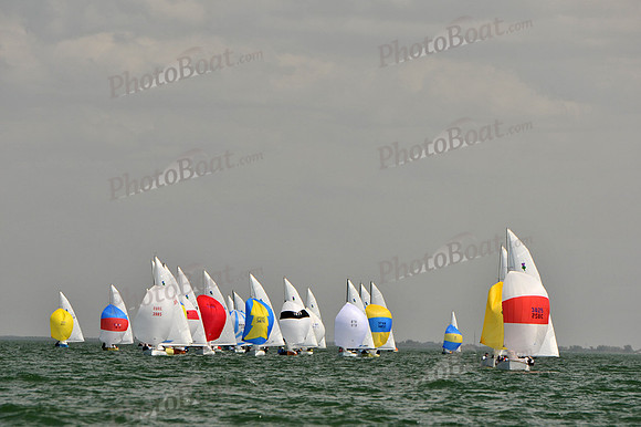2012 Thistle Midwinters B 1369