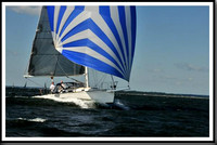 proof_2010_Vineyard_Race_0312