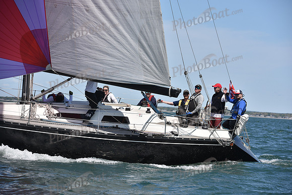 2019 Figawi_0768