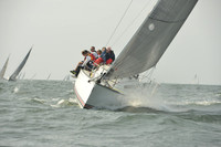 2015 Vineyard Race A 504