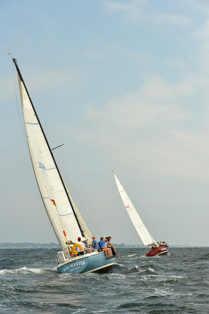 2015 Vineyard Race A 286