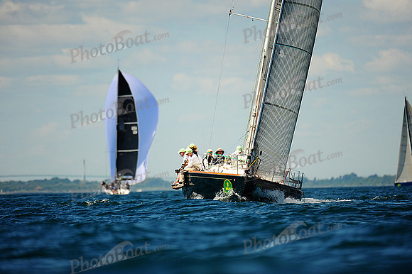 2014 NYYC Annual Regatta C 1131
