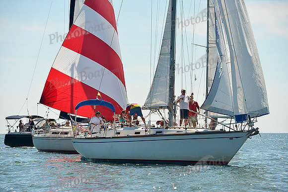 2015 Cape Charles Cup A 998