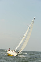 2015 Vineyard Race A 364