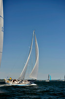 2017 Vineyard Race A_0599