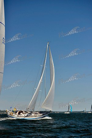 2017 Vineyard Race A_0599