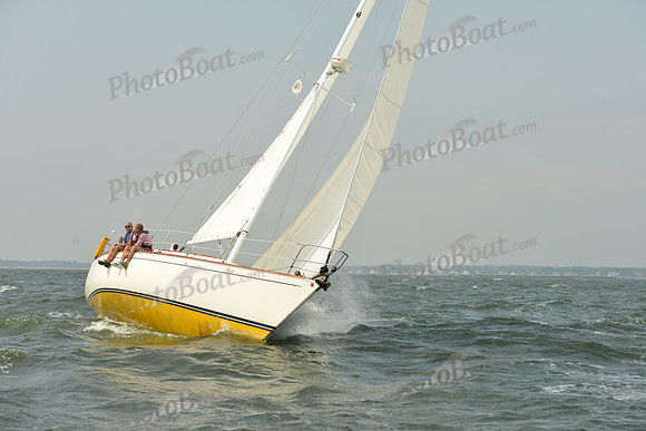 2015 Vineyard Race A 367