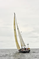 2018 Newport Bermuda Race A_0670
