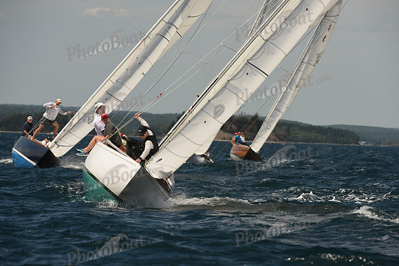 2016 Chester Race Week A_1206
