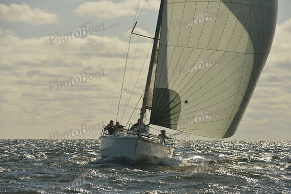 2015 Vineyard Race C 042