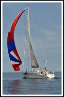 proof_2010 Block Island Race 116