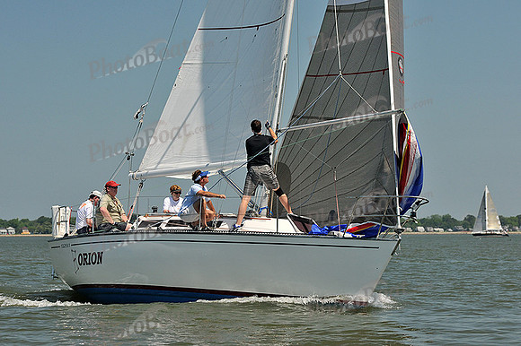 2013 Southern Bay Race Week A 309