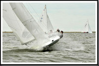 proof_2010_EScows_A 054