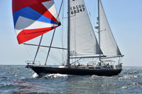 2019 Vineyard Race A_1895