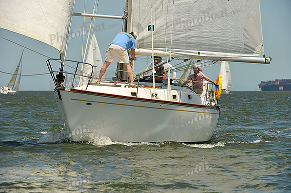 2015 Southern Bay Race Week A 1241