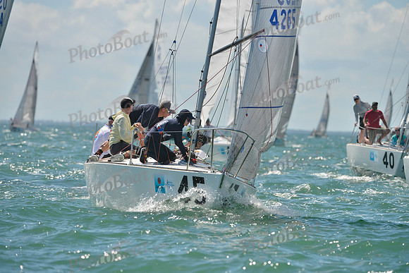 2019 J24 Worlds C_0199
