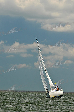2013 Southern Bay Race Week C 2498