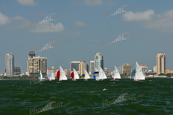2012 Thistle Midwinters C 347