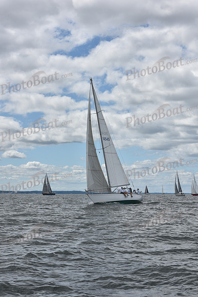 2021 Vineyard Race A 0265