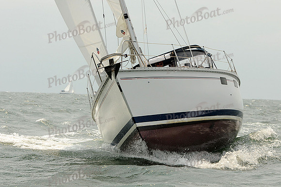2012 Cape Charles Cup A 1284