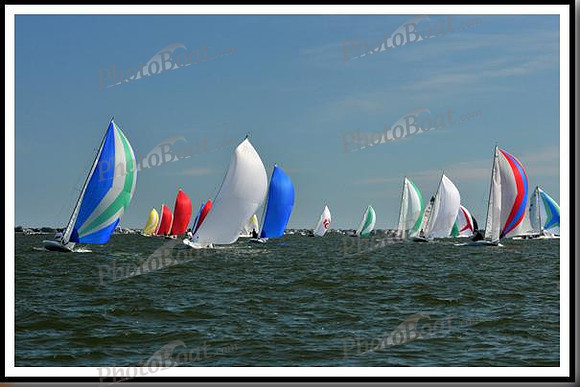proof_2010_EScows_E 1069