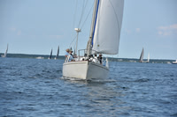 2019 Around Marthas Vineyard A_0529