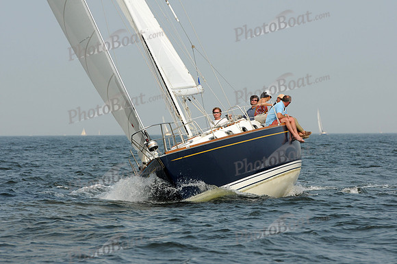2011 Vineyard Race B 231