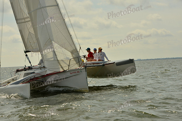2016 Southern Bay Race Week G_0050