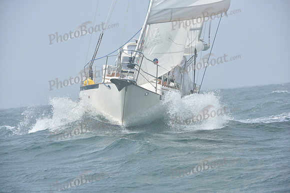 2022 Newport Bermuda_1961