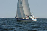 2011 Vineyard Race A 905
